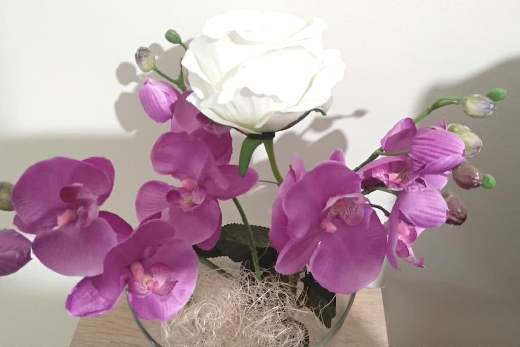 Theano'S Cozy & Quiet Lux Central Flat - Wifi & Full Amenities Patras Eksteriør billede